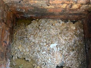 A blocked drain in Hammersmith London.