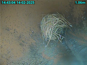 A CCTV drain survey in Chalfont will find the cause of a drain problem.