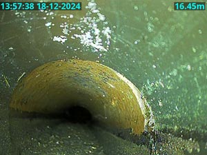 A CCTV Drain Survey in Watford will identify the cause of a drain problem.