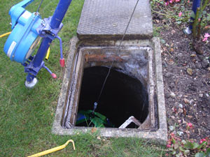 Large root mass in drain