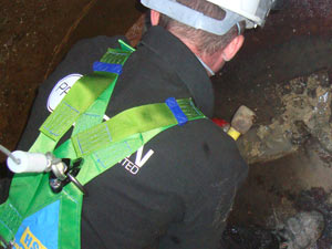 Large root mass in drain