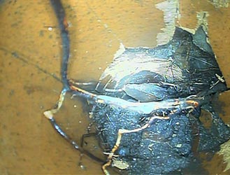 House Buyer Drain Survey