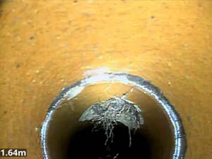 Root Ingress with Survey for House buyer London