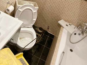 Descaling Toilet Drain