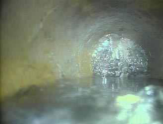 Tree Root Ingress Blocked Drain