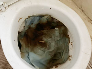 A fully blocked toilet in Fulham which needs unblocking